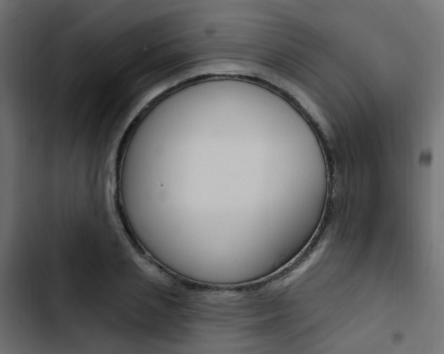 X0000103910837200809191117