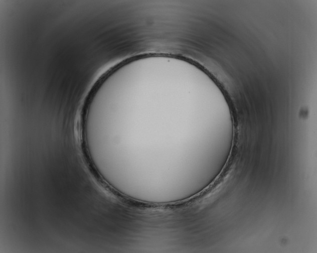 X0000103910838200809191117