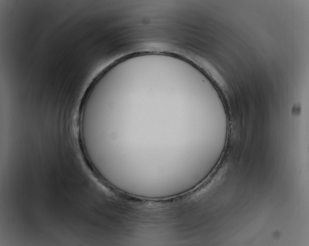 X0000103910839200809191117