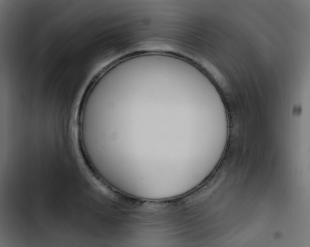 X0000103910840200809191117