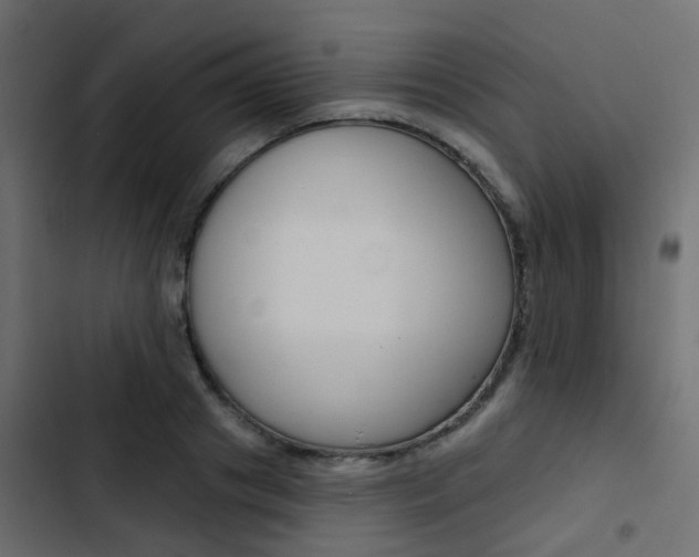 X0000103910841200809191117