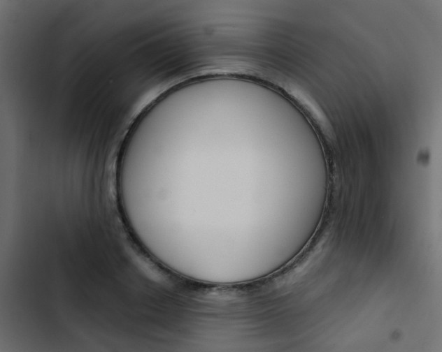 X0000103910842200809191117