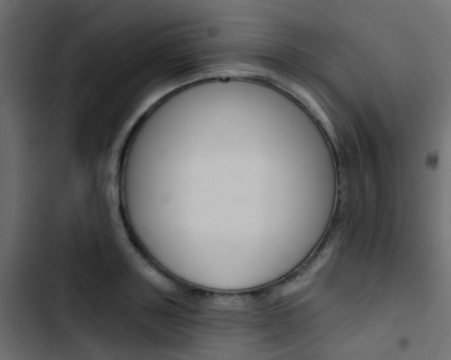 X0000103910843200809191117