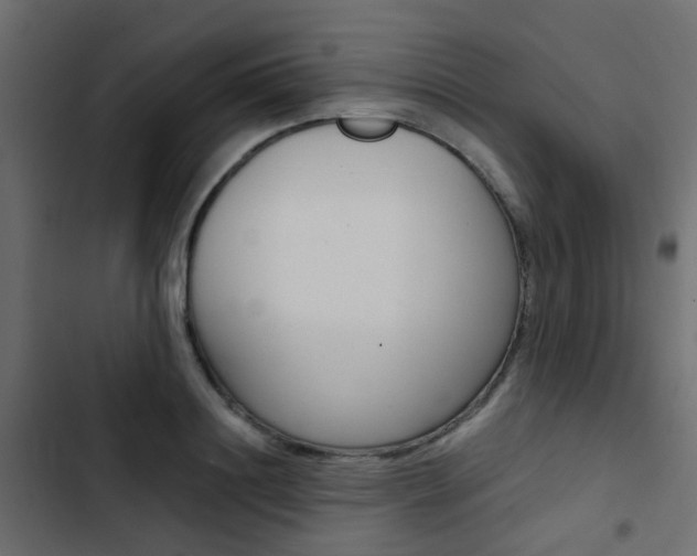 X0000103910844200809191117