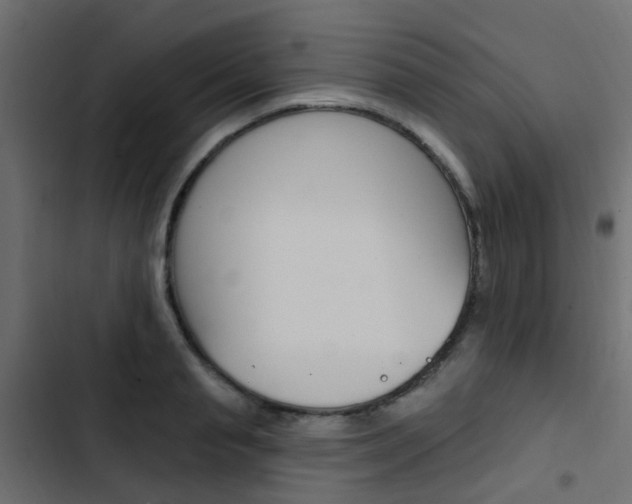 X0000103910845200809191117