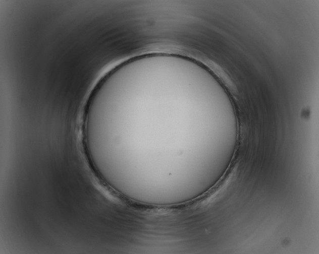 X0000103910846200809191117