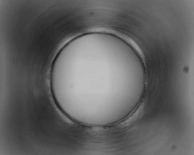 X0000103910847200809191117