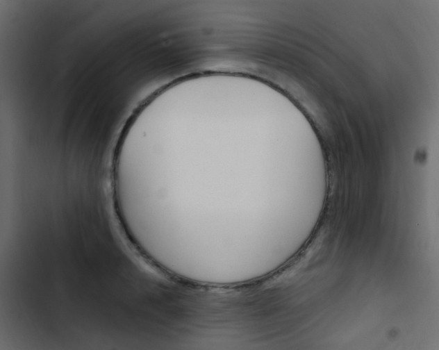 X0000103910848200809191117