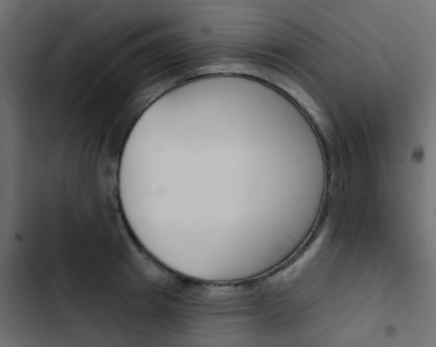 X0000103910849200809191117
