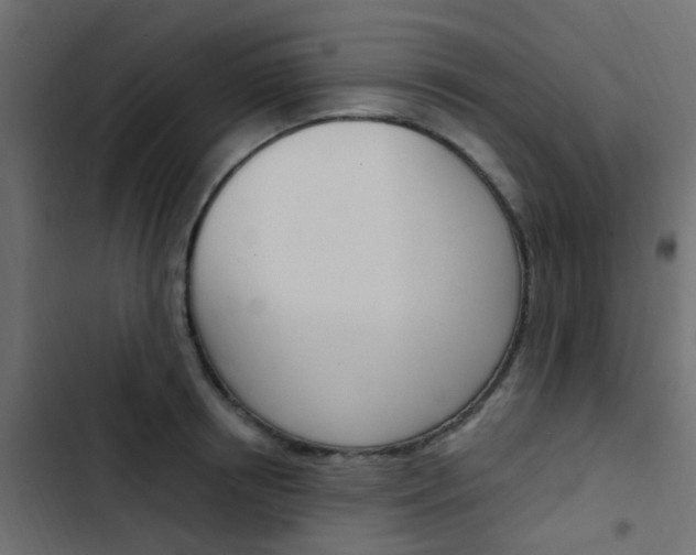 X0000103910850200809191117