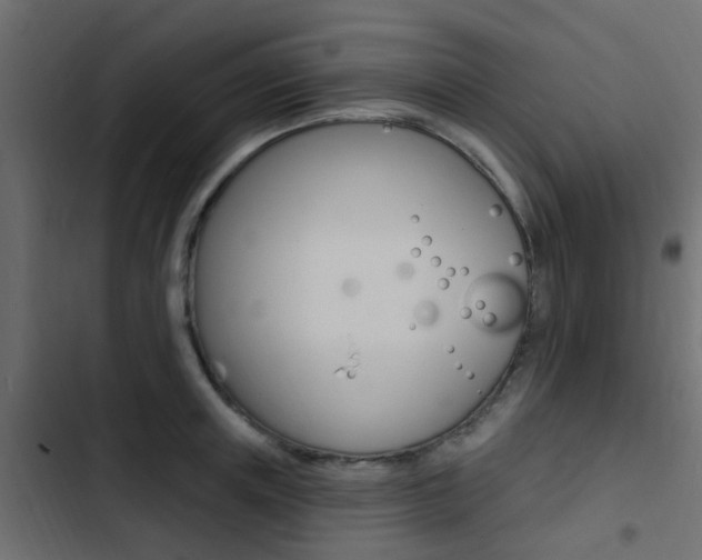 X0000103910851200809191117