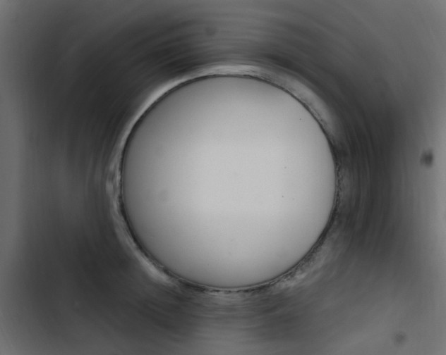 X0000103910852200809191117