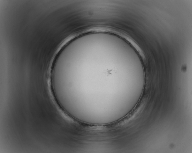 X0000103910853200809191117
