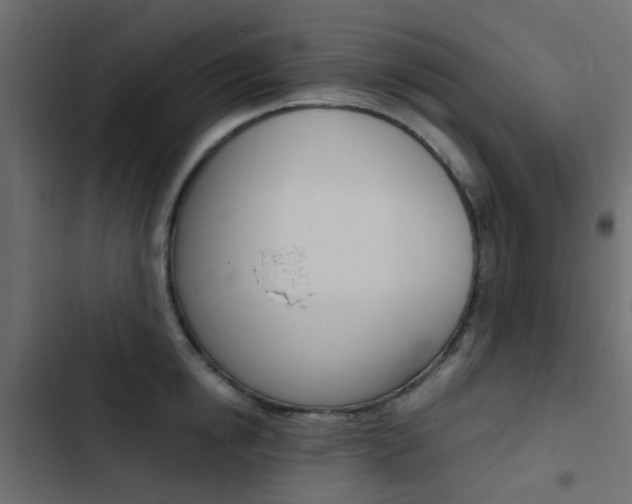 X0000103910854200809191117