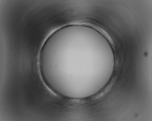 X0000103910855200809191117