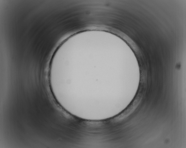 X0000103910856200809191117