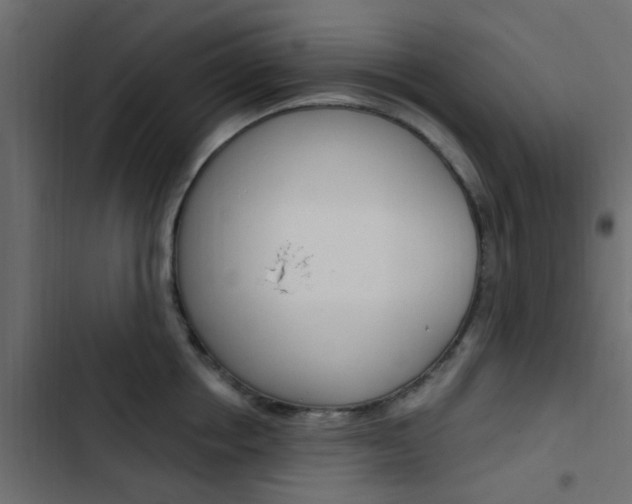 X0000103910858200809191117