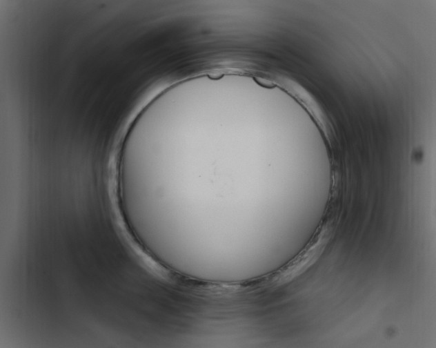 X0000103910859200809191117