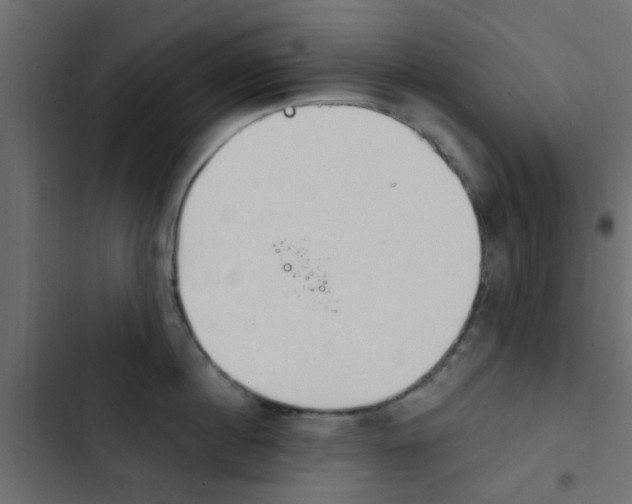 X0000103910860200809191117