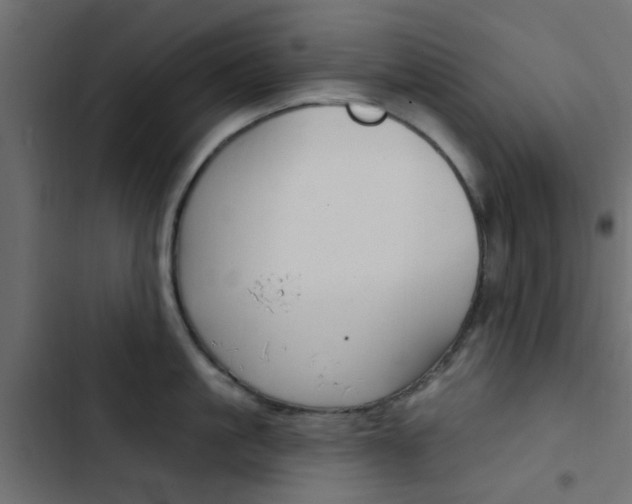 X0000103910861200809191117