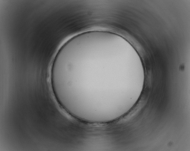 X0000103910862200809191117