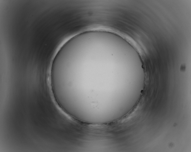 X0000103910863200809191118