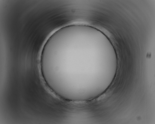 X0000103910864200809191118