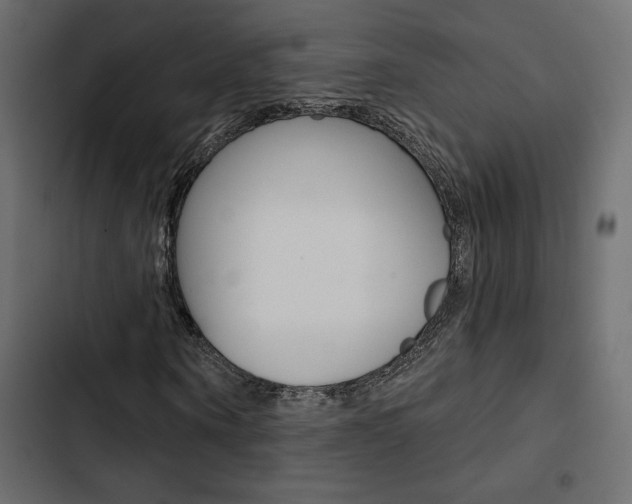 X0000103910866200809191117