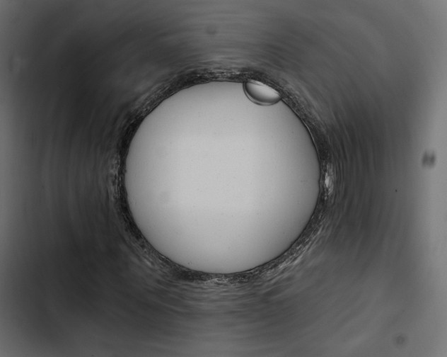 X0000103910867200809191117