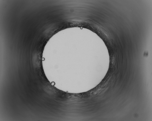 X0000103910868200809191117