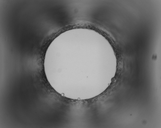 X0000103910869200809191117