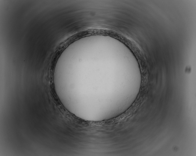 X0000103910870200809191117