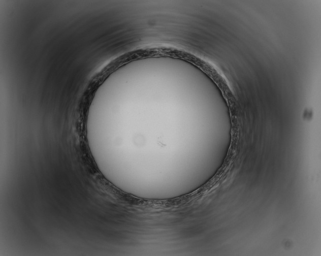 X0000103910871200809191117