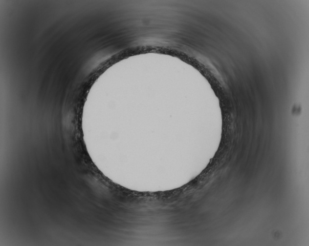X0000103910872200809191117