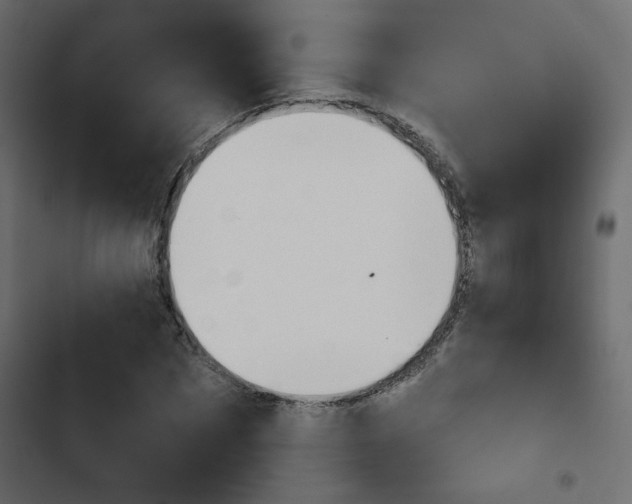 X0000103910873200809191117