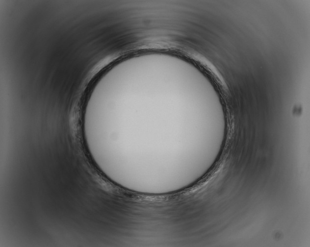 X0000103910874200809191117