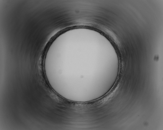 X0000103910875200809191117