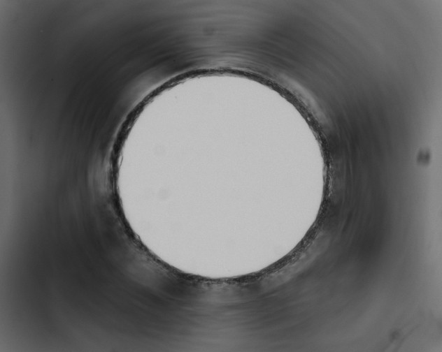X0000103910876200809191117