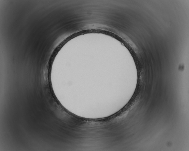 X0000103910877200809191117