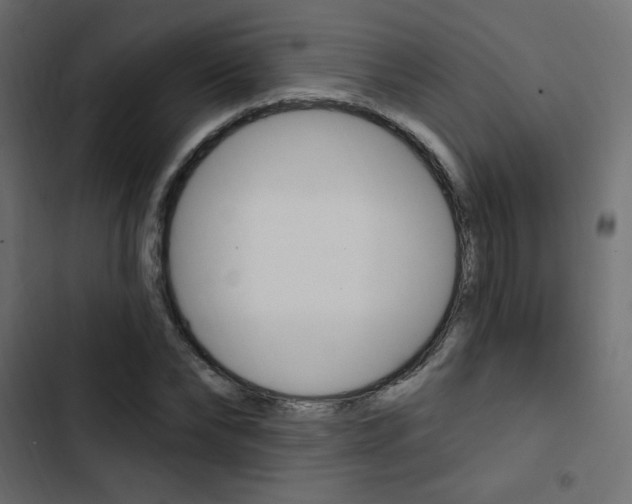 X0000103910878200809191117