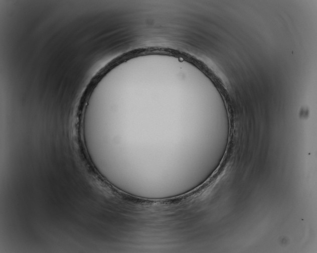 X0000103910879200809191117
