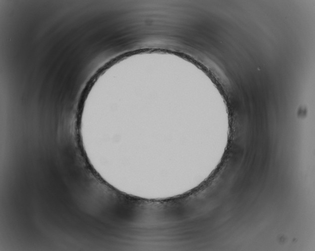 X0000103910880200809191117