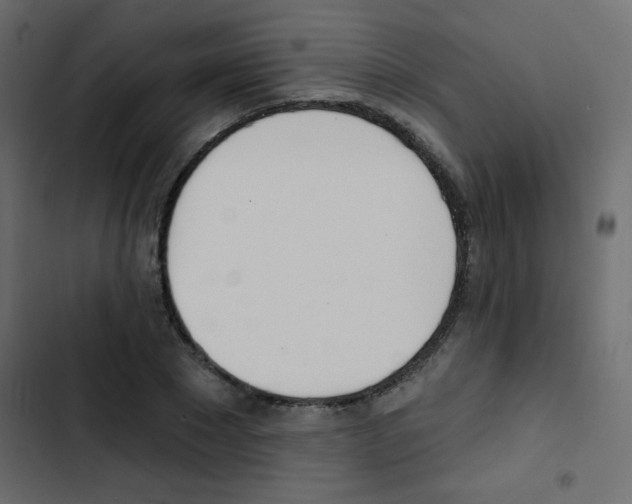 X0000103910881200809191117