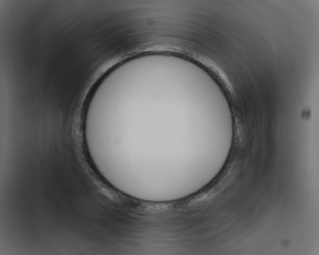 X0000103910882200809191117