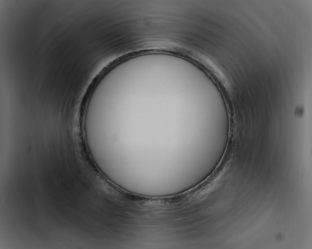 X0000103910883200809191116