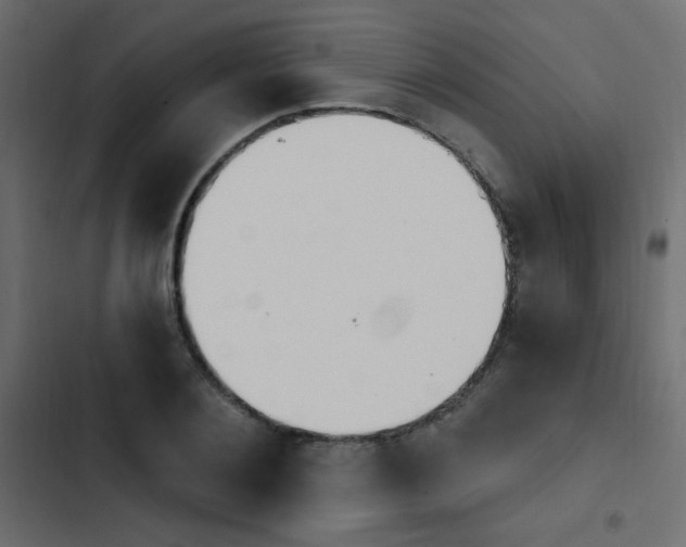 X0000103910884200809191116