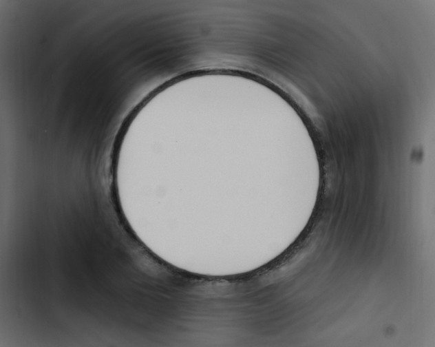 X0000103910885200809191116