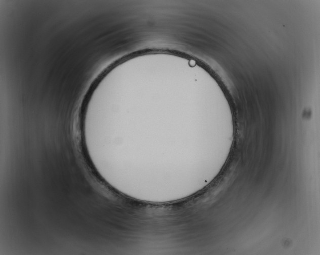 X0000103910887200809191116