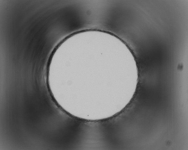 X0000103910888200809191116