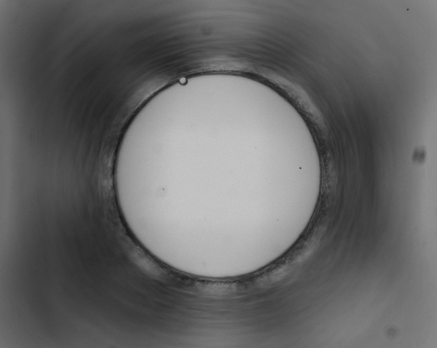 X0000103910889200809191116